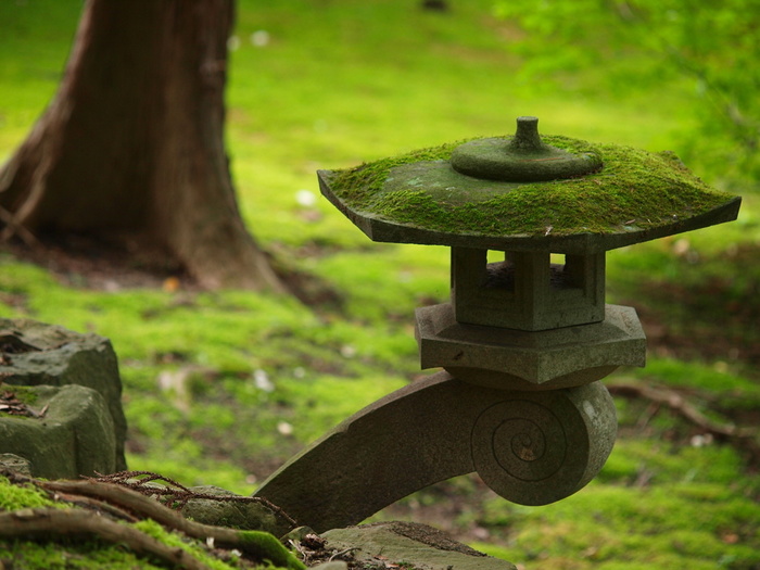 Moss In Wabi-sabi Japanese Garden